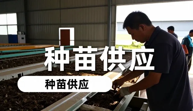 运城市鸿鑫农药销售有限公司打造专业种苗供应服务
